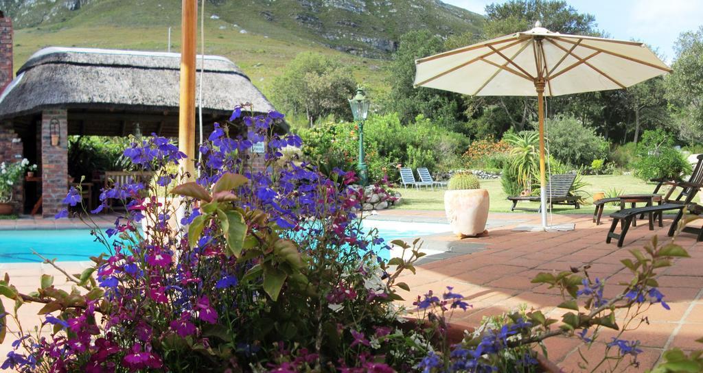 Von Abercron Residence Hermanus Værelse billede